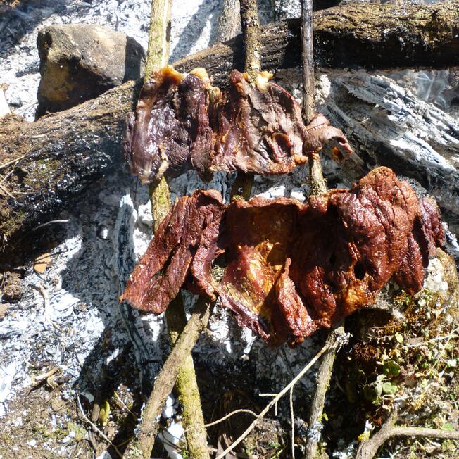 Carne de res azada